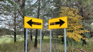 The Decisive Factor