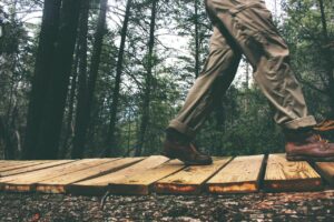 The Gospel Trail